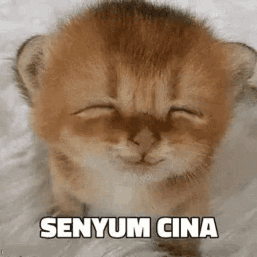 MEME KUCING 3