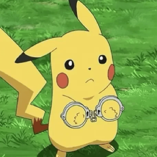 Pokemon 8