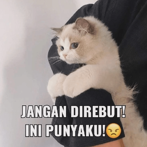 Tiktok reaction meme  12