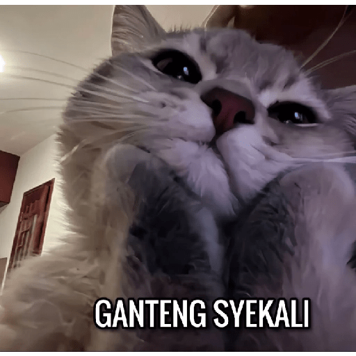 Stiker meme anomali lucu 7