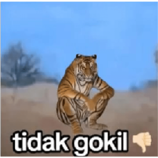 GOKIL new 23