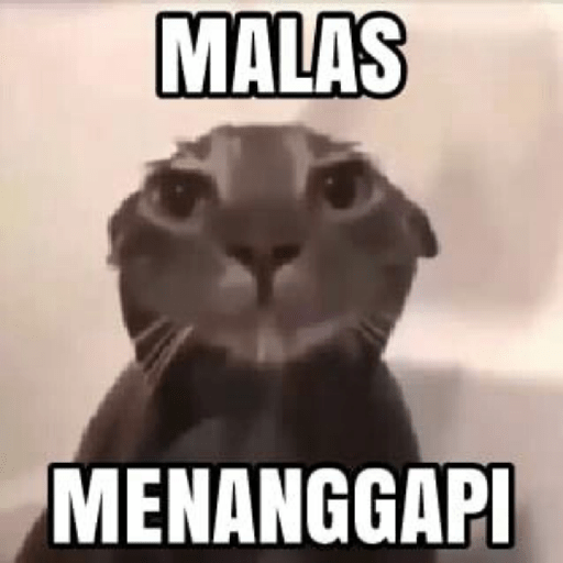 Sticker kucing meme 5