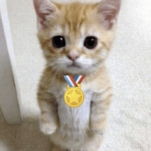 Hachimi kucing meme 16