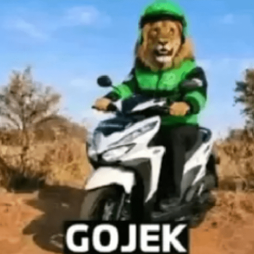Gokil skin 22