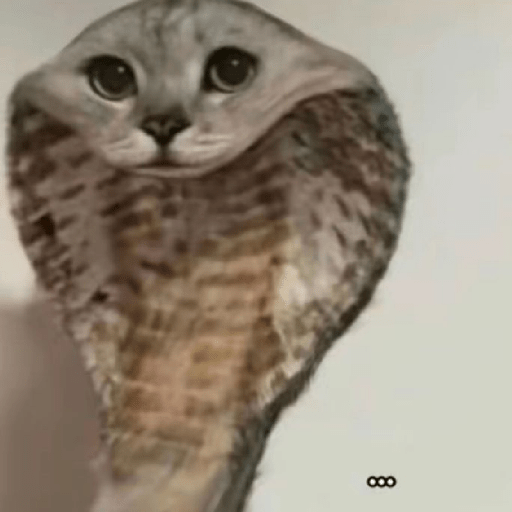 Hachimi kucing meme 15