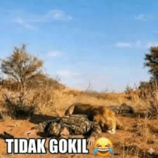 GOKIL😹 6