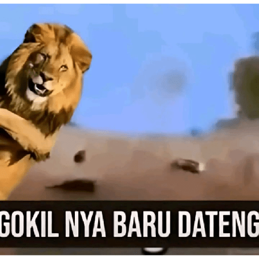 GOKIL new 11
