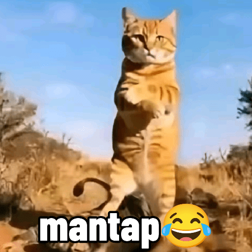 Meme Yang Bro Rasakan 🗿 12