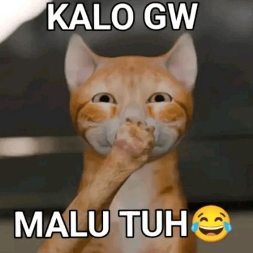 Kucing Oyen Pelontos 🐱 4