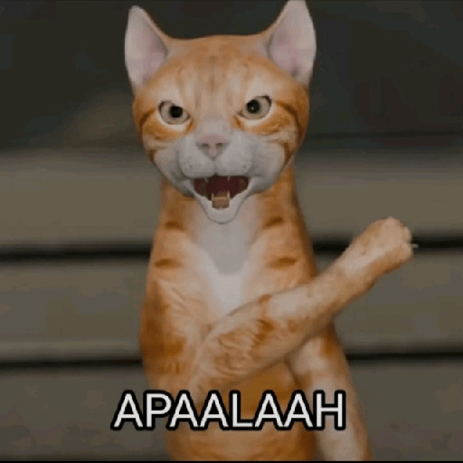 Kucing Oyen Pelontos 🐱 1