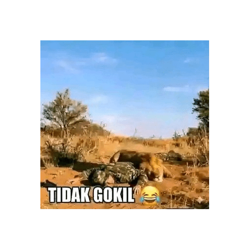 Gokil 7