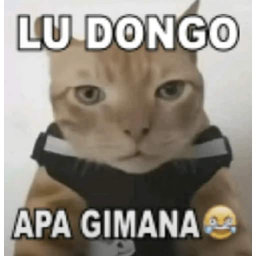 Sticker kucing meme 3
