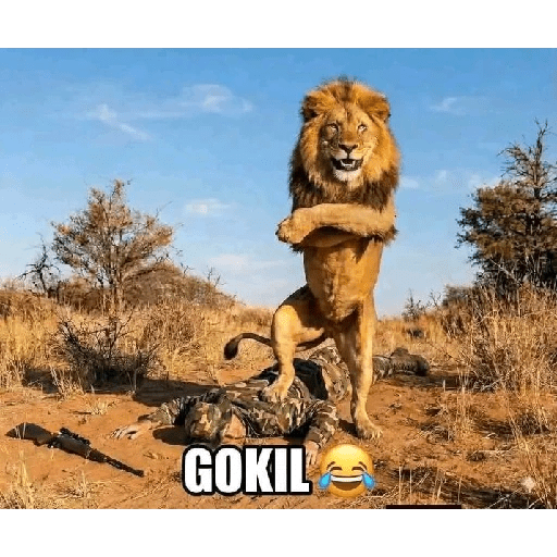 GOKIL😹 1