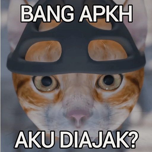 Kucing Oyen Pelontos 🐱 10