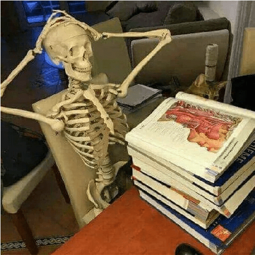 Studying memes 13
