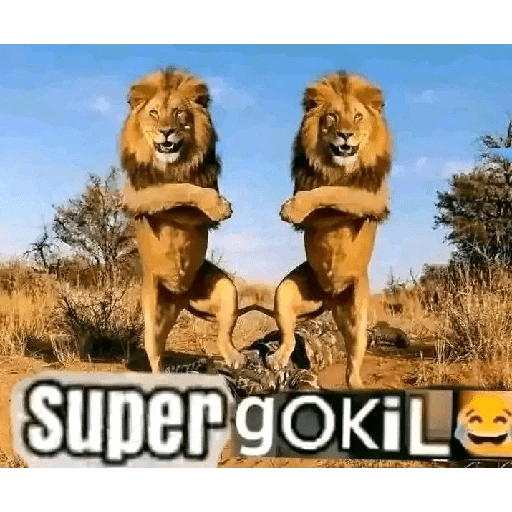 GOKIL😹 4