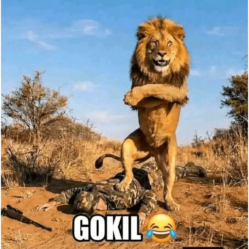 Singa gokil meme 10
