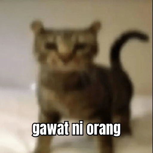 Sticker kucing meme 1