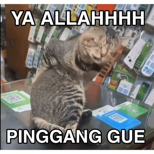 MEME KUCING 5