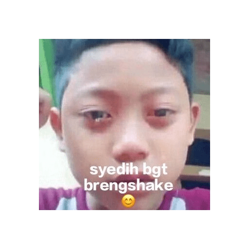 Meme indo 11