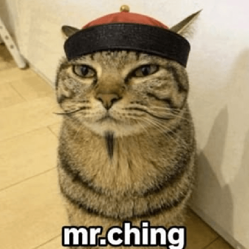 Hachimi kucing meme 8