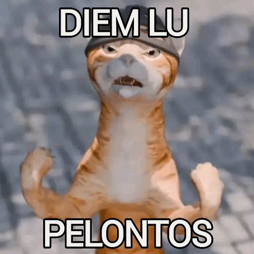 Kucing Oyen Pelontos 🐱 3