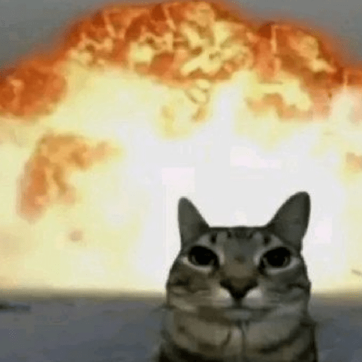 Hachimi kucing meme 2