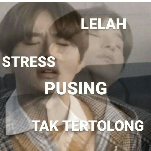 MEME 8