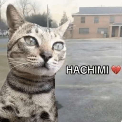 Hachimi kucing meme 1