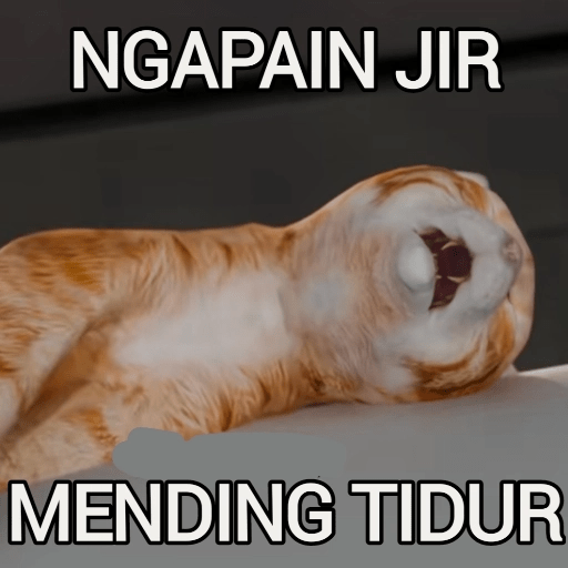 Kucing Oyen Pelontos 🐱 6