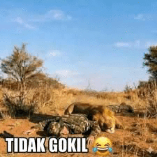 Meme singa gokil 16