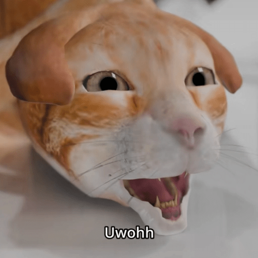 Kucing Oyen Pelontos 🐱 12