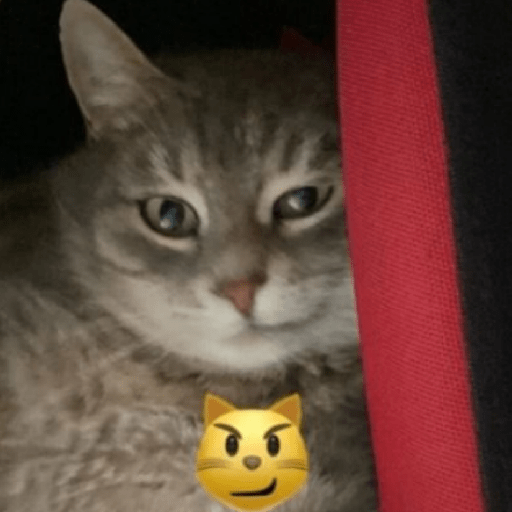 Hachimi kucing meme 13