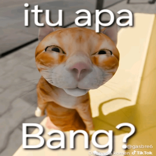 Kucing Oyen Pelontos 🐱 13