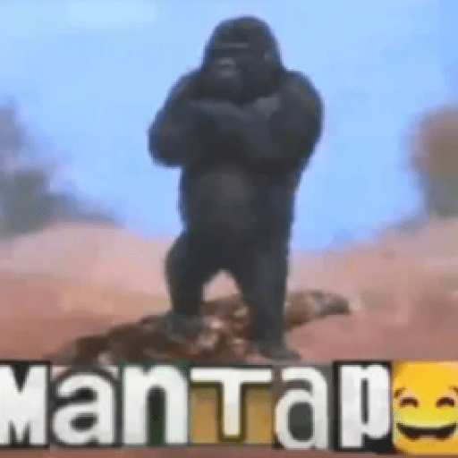 Gokil skin 2
