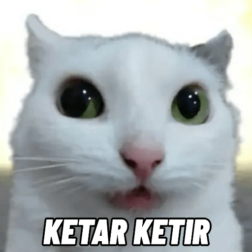 Meme Kucing 🐈 5