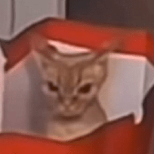 Hachimi kucing meme 7
