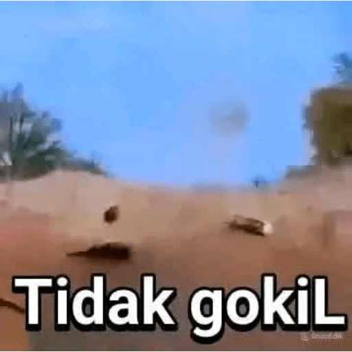 Meme singa gokil 7