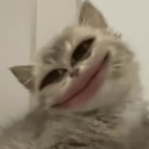Meme Kucing 🐈 3