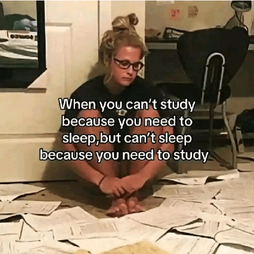 Studying memes 18