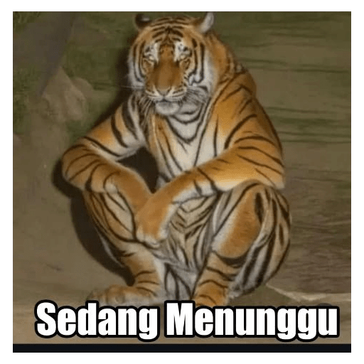 GOKIL😹 8