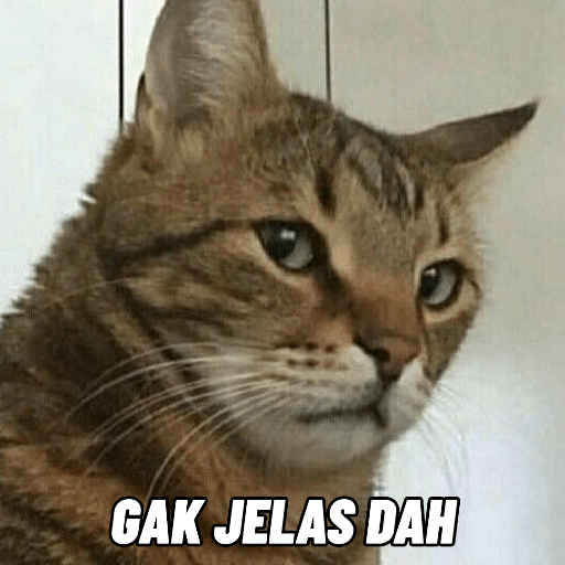 Meme Kucing 🐈 11