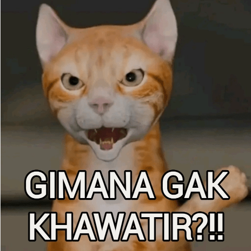Kucing Oyen Pelontos 🐱 5