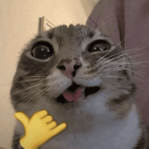 MEME KUCING 12
