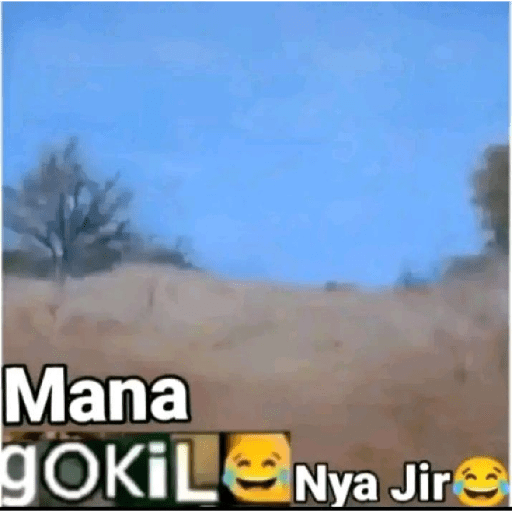 Gokil 11