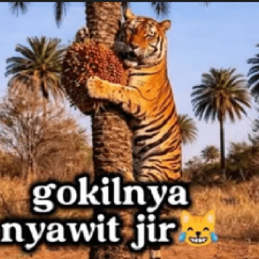 Gokil skin 25