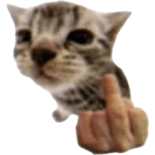 Hachimi kucing meme 4