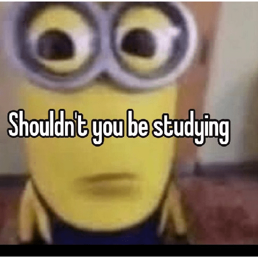 Studying memes 10