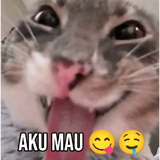 Meme Kucing 🐈 7