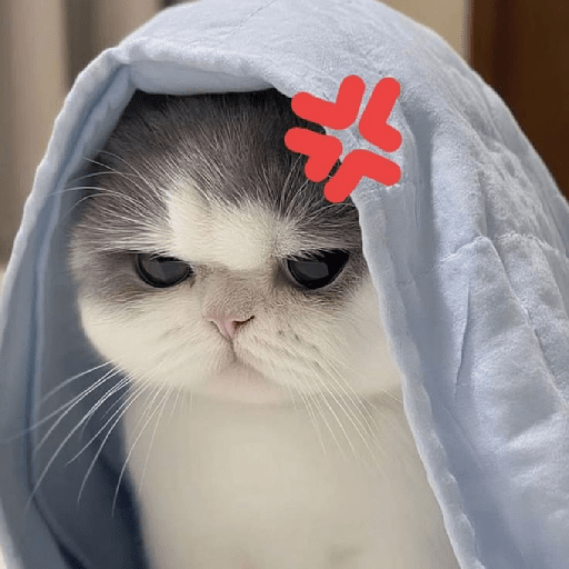 Meme Kucing 🐈 2